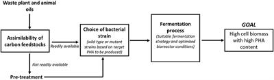 Can Polyhydroxyalkanoates Be Produced Efficiently From Waste Plant and Animal Oils?